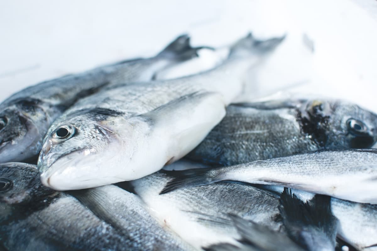 Ocean waters, representing Oceanwise and MSC certified sustainable seafood sourcing