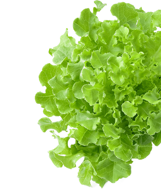 green left