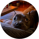 Sky Neve profile picture